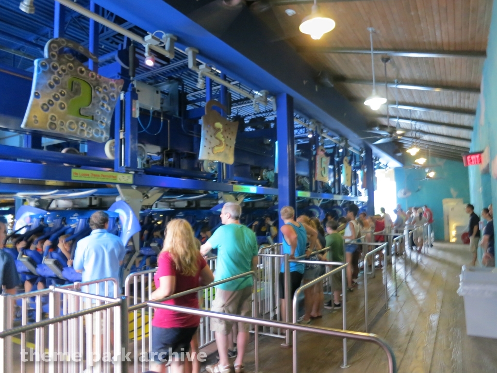 Manta at SeaWorld Orlando