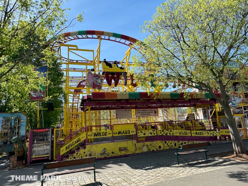 Wilde Maus at Wiener Prater