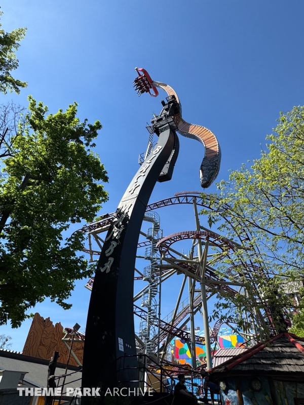 Black Mamba at Wiener Prater