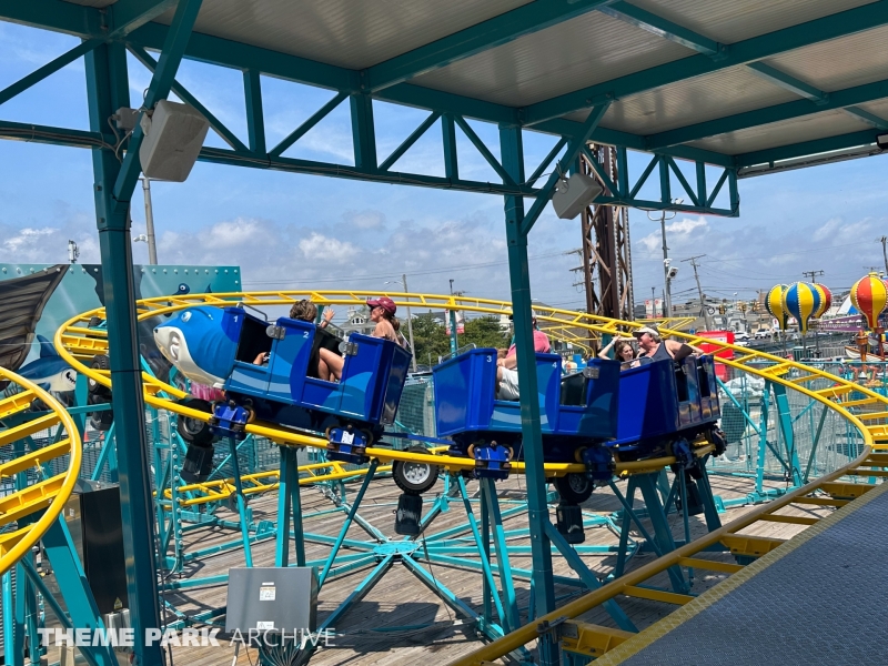 Shark Escape at Jenkinson's Boardwalk