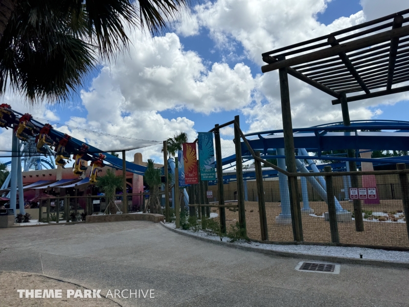 Phoenix Rising at Busch Gardens Tampa