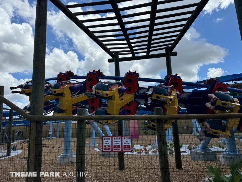 Phoenix Rising at Busch Gardens Tampa