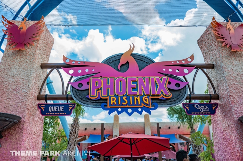 Phoenix Rising at Busch Gardens Tampa