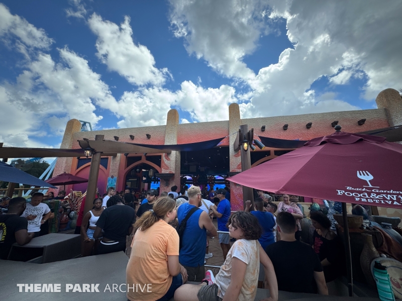 Phoenix Rising at Busch Gardens Tampa