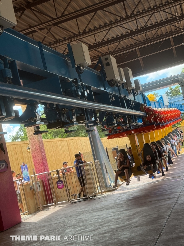 Phoenix Rising at Busch Gardens Tampa