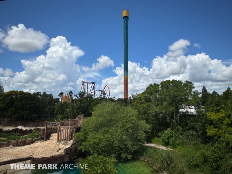 Falcon's Fury at Busch Gardens Tampa