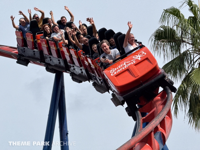 Scorpion at Busch Gardens Tampa