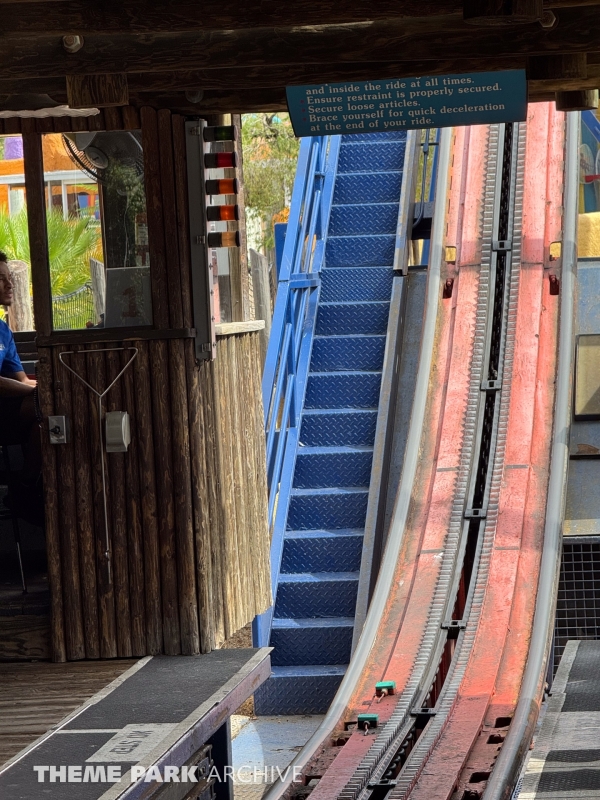 Scorpion at Busch Gardens Tampa