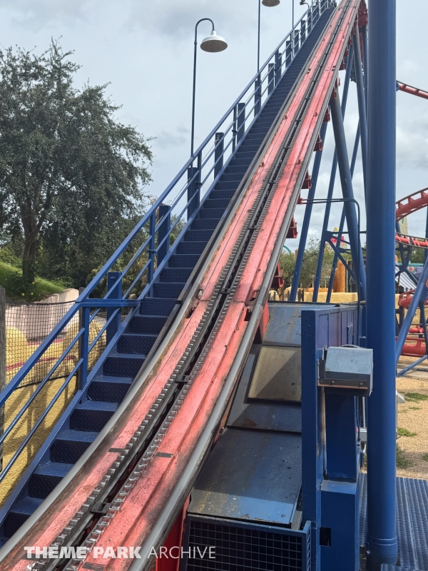 Scorpion at Busch Gardens Tampa