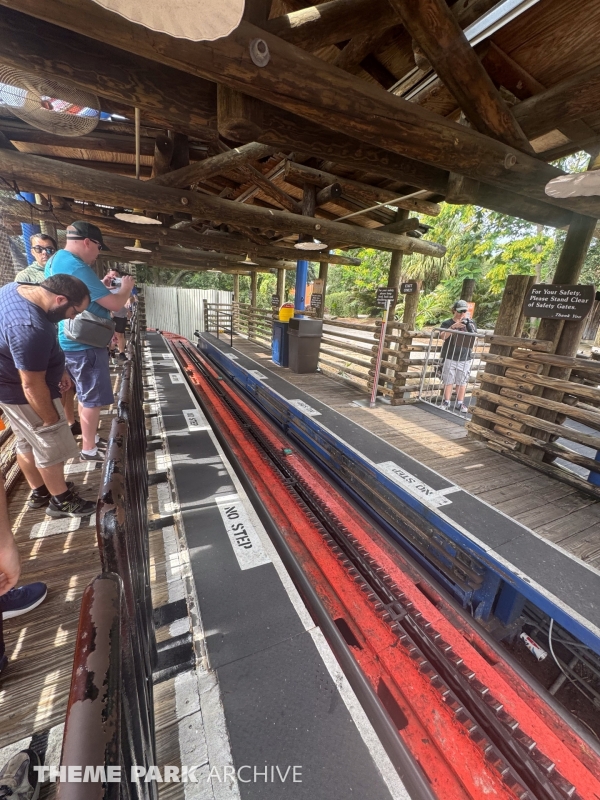 Scorpion at Busch Gardens Tampa