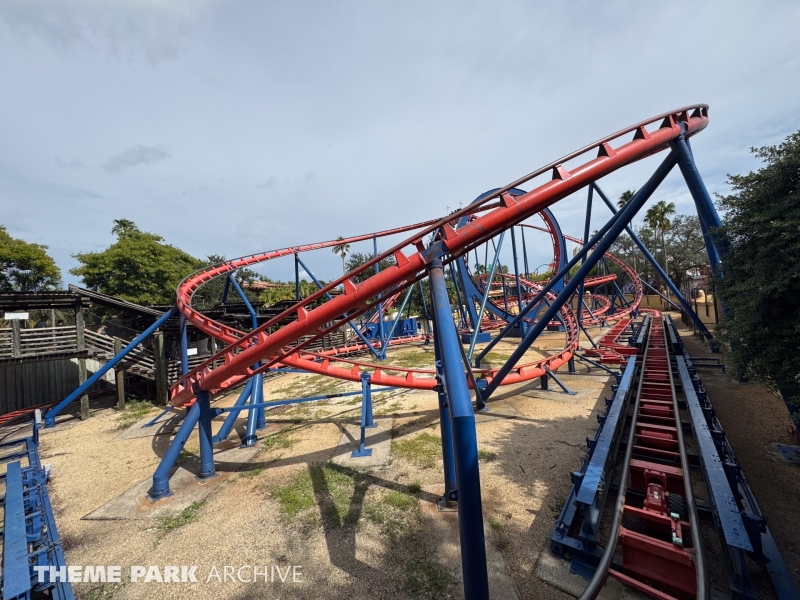 Scorpion at Busch Gardens Tampa