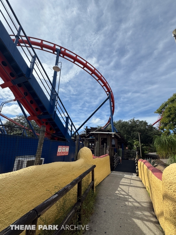 Scorpion at Busch Gardens Tampa