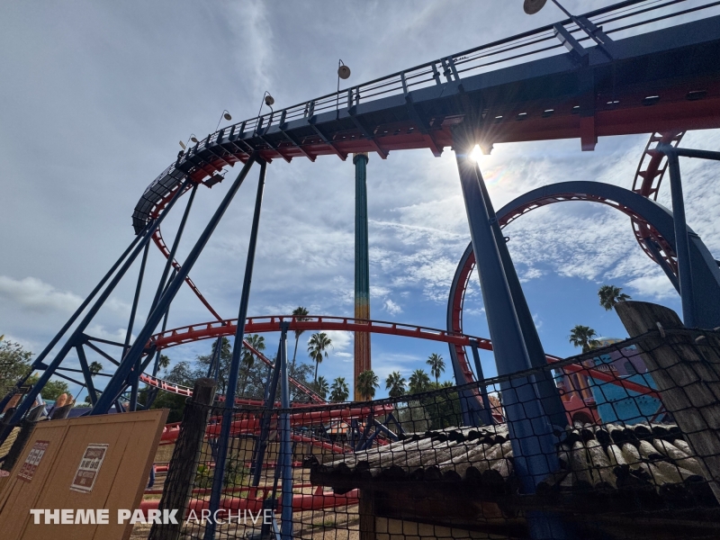 Scorpion at Busch Gardens Tampa