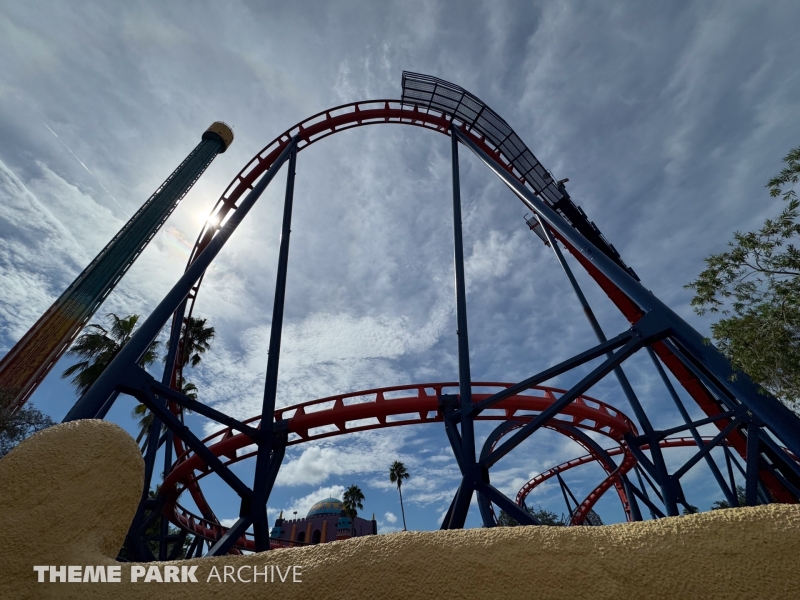 Scorpion at Busch Gardens Tampa