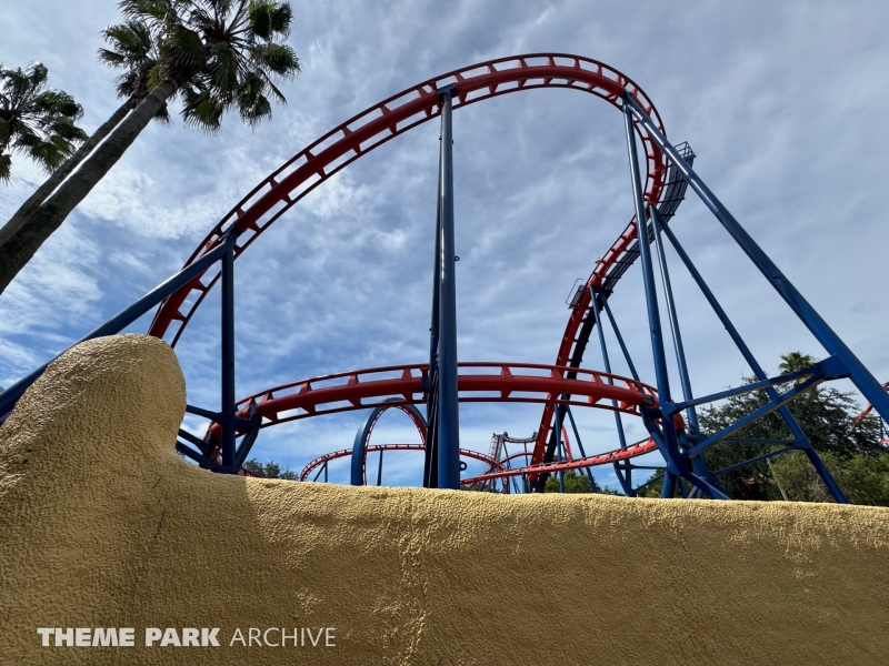 Scorpion at Busch Gardens Tampa