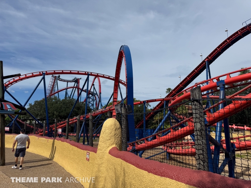 Scorpion at Busch Gardens Tampa