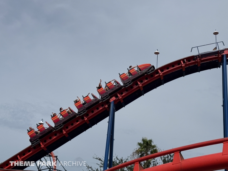 Scorpion at Busch Gardens Tampa