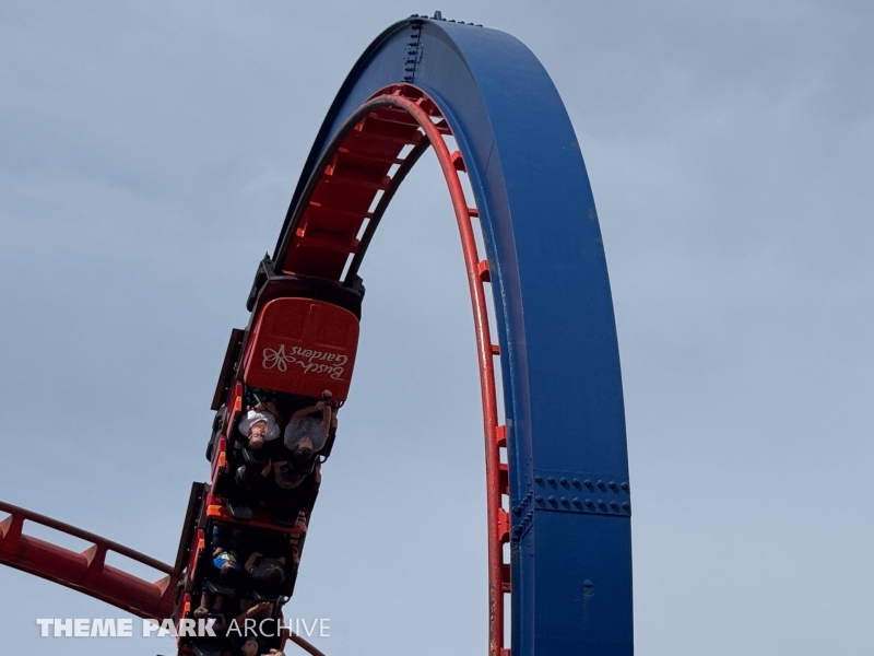 Scorpion at Busch Gardens Tampa