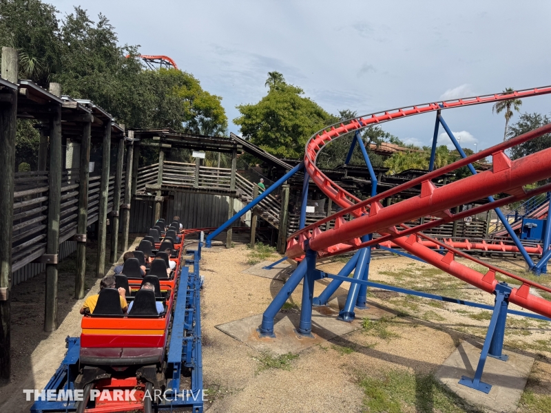 Scorpion at Busch Gardens Tampa