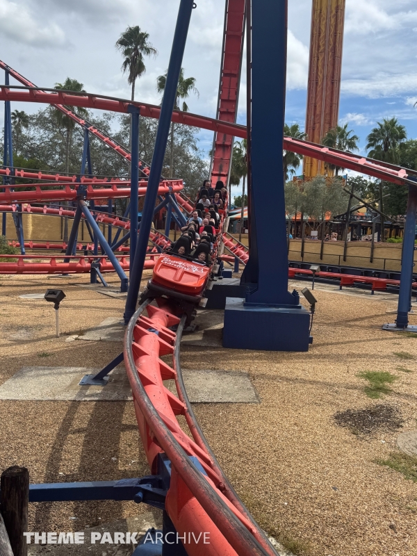 Scorpion at Busch Gardens Tampa