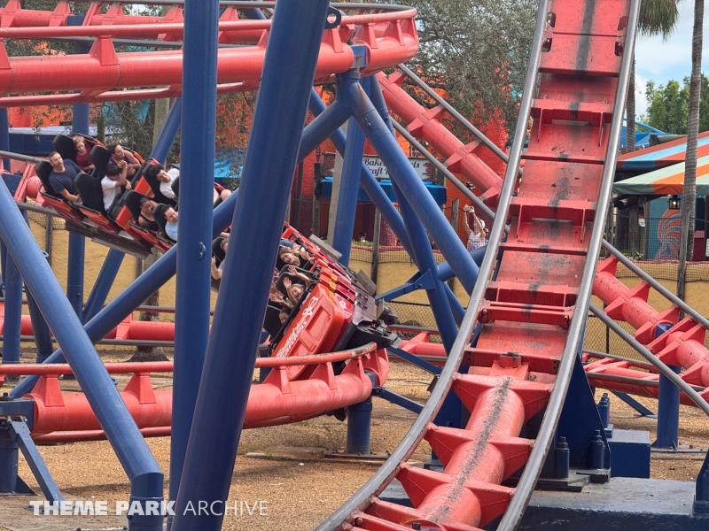 Scorpion at Busch Gardens Tampa