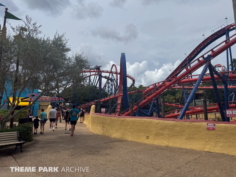 Scorpion at Busch Gardens Tampa