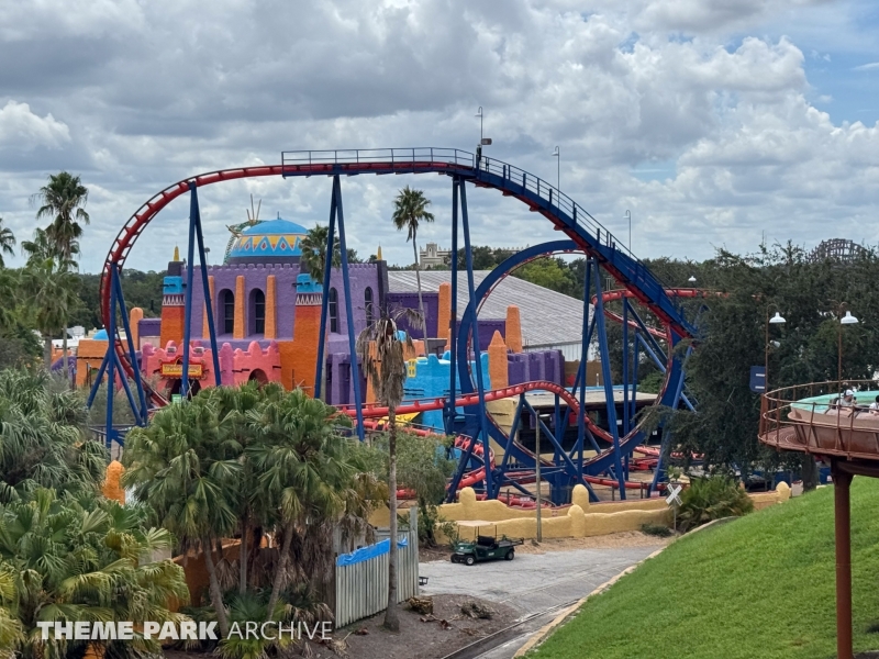 Scorpion at Busch Gardens Tampa