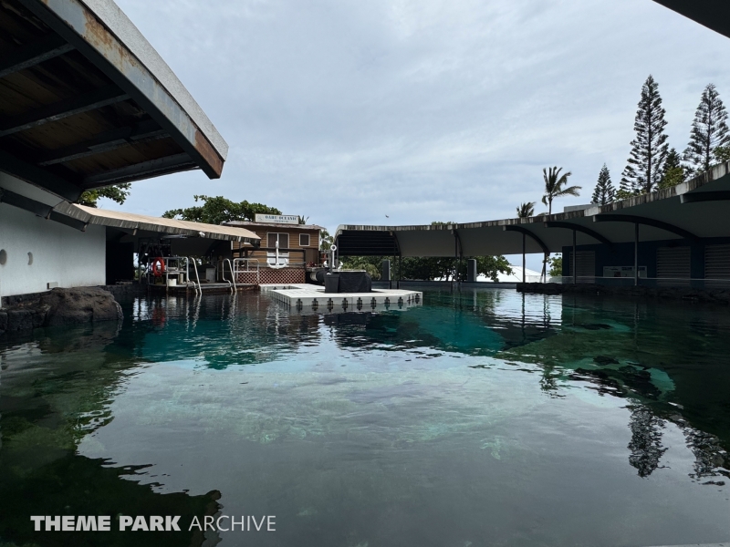 Shark Cave at Sea Life Park Hawaii