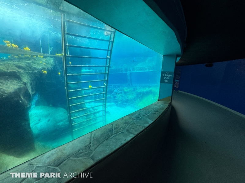 Shark Cave at Sea Life Park Hawaii