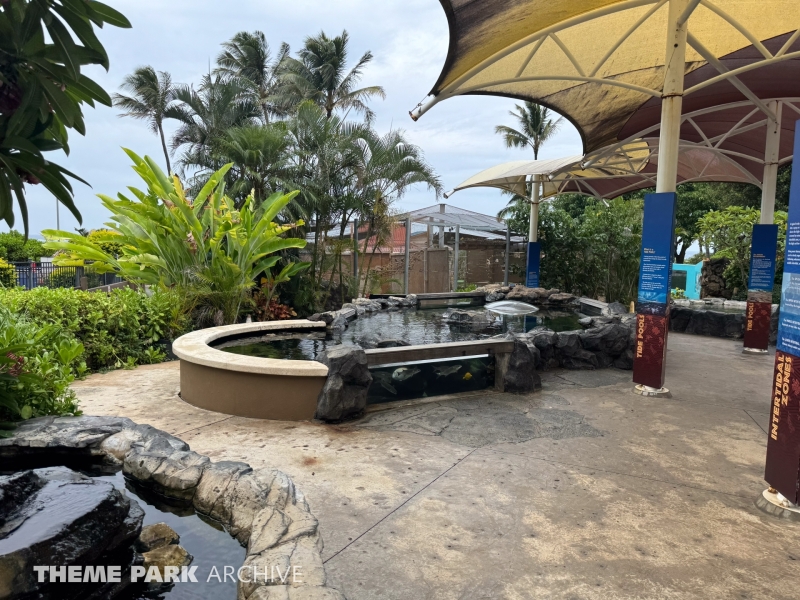 Discovery Reef at Sea Life Park Hawaii