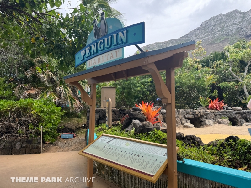 Penguin Habitat at Sea Life Park Hawaii