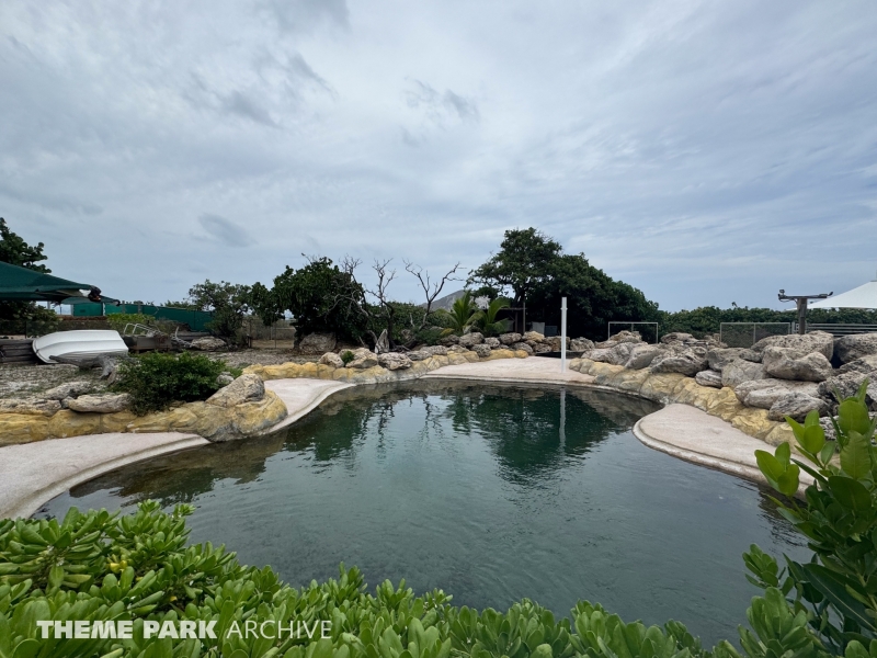 Penguin Habitat at Sea Life Park Hawaii