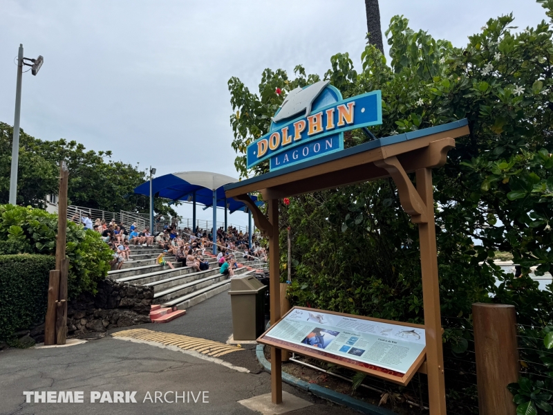 Dolphin Lagoon at Sea Life Park Hawaii