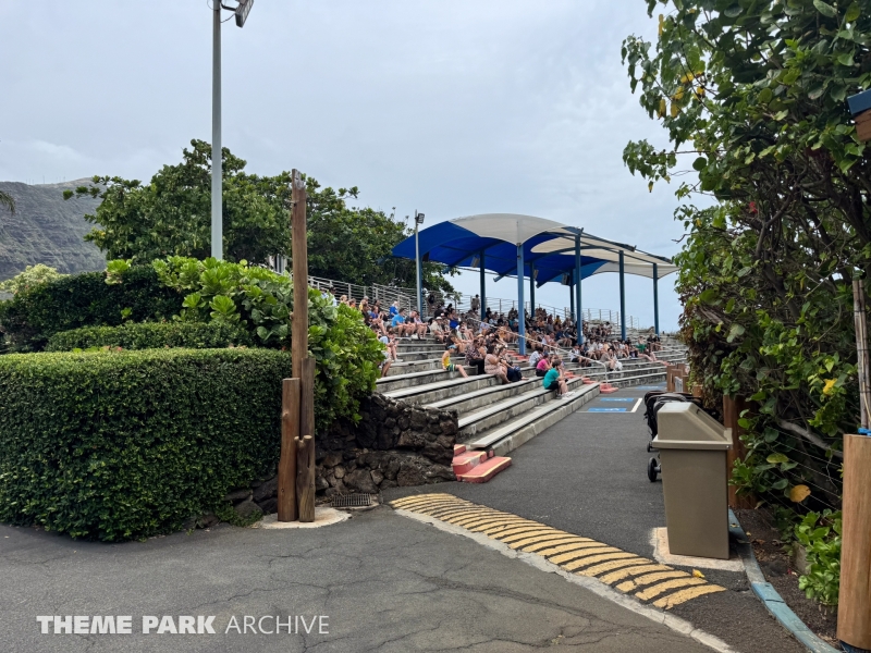 Dolphin Lagoon at Sea Life Park Hawaii