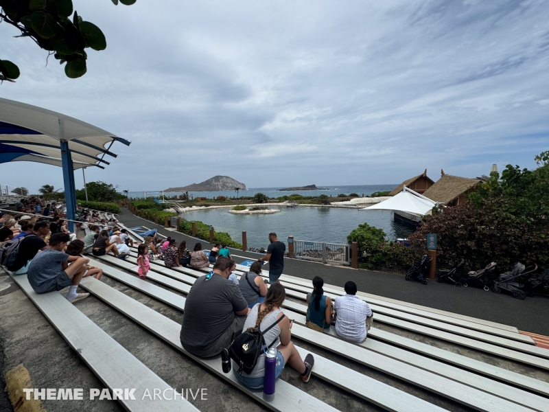 Dolphin Lagoon at Sea Life Park Hawaii