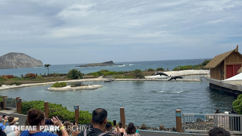 Dolphin Lagoon at Sea Life Park Hawaii