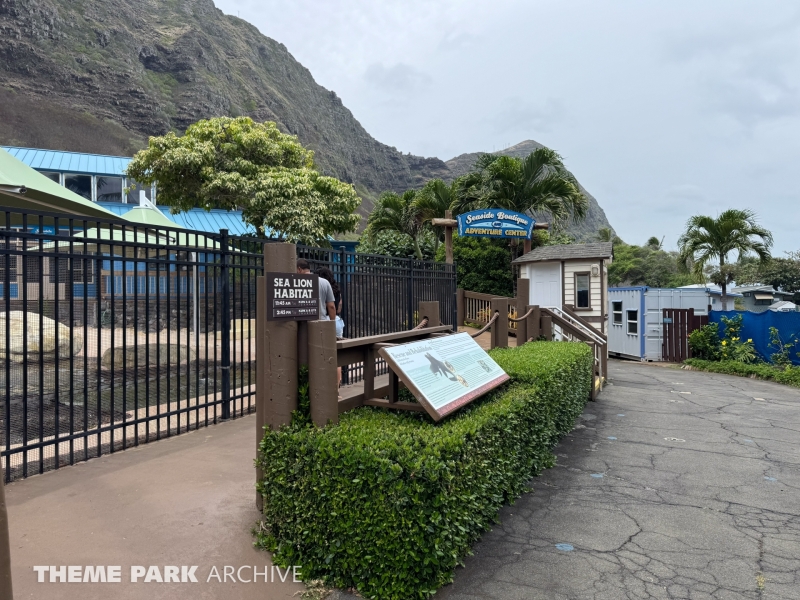 California Sea Lion Habitat at Sea Life Park Hawaii