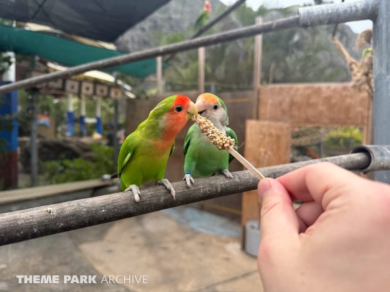 Hale Manu Bird Aviary at Sea Life Park Hawaii