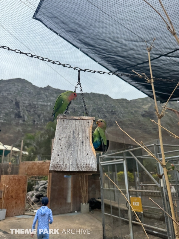 Hale Manu Bird Aviary at Sea Life Park Hawaii