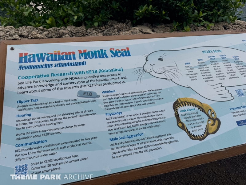 Hawaiian Monk Seal Habitat at Sea Life Park Hawaii