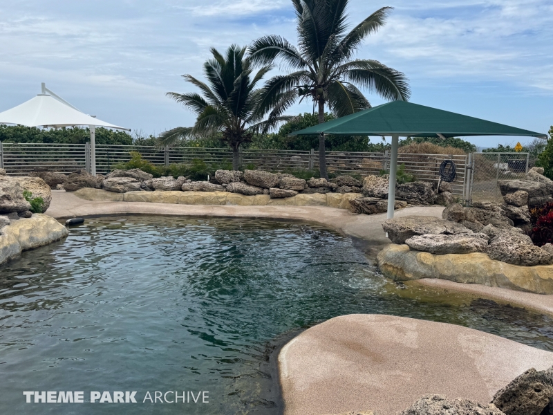 Hawaiian Monk Seal Habitat at Sea Life Park Hawaii