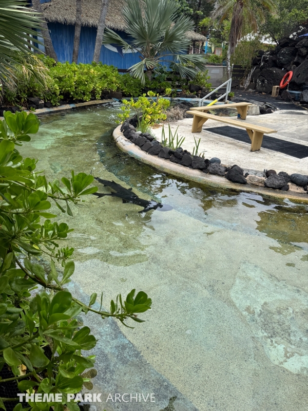 Hawaiian Reef Habitat at Sea Life Park Hawaii