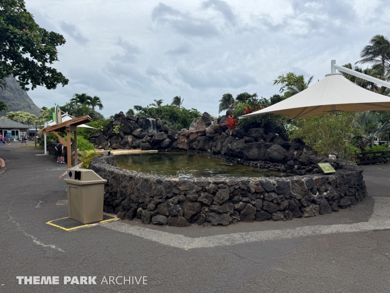 Honu Habitat at Sea Life Park Hawaii