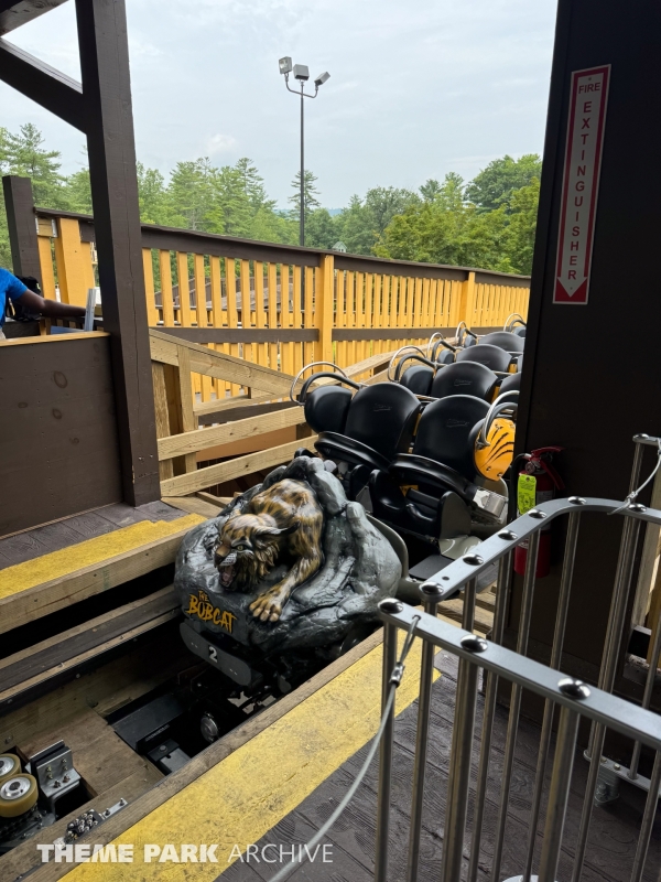 The Bobcat at Great Escape