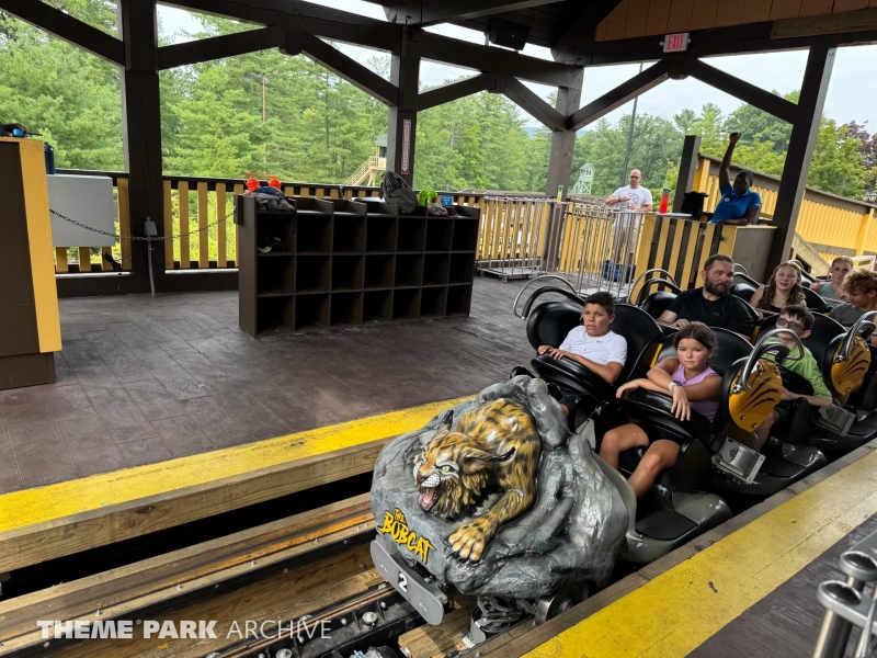 The Bobcat at Great Escape