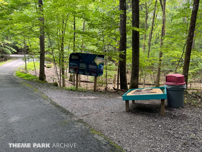 Dino Roar Valley at Lake George Expedition Park