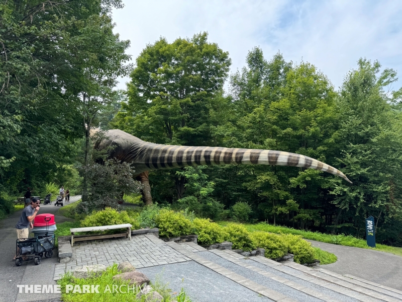 Dino Roar Valley at Lake George Expedition Park