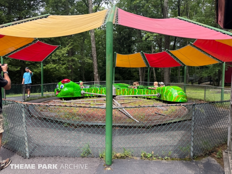 Jolly Caterpillar at Lake George Expedition Park