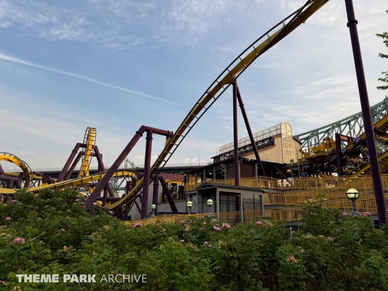 Vampire at La Ronde