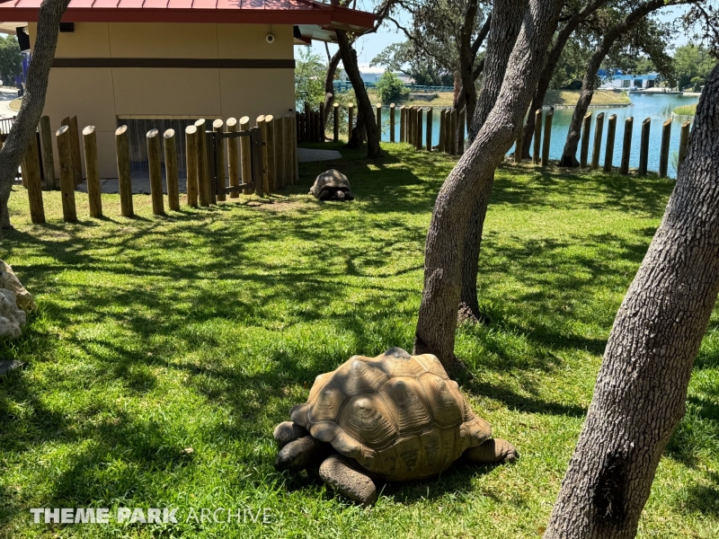 Aldabra Island at SeaWorld San Antonio